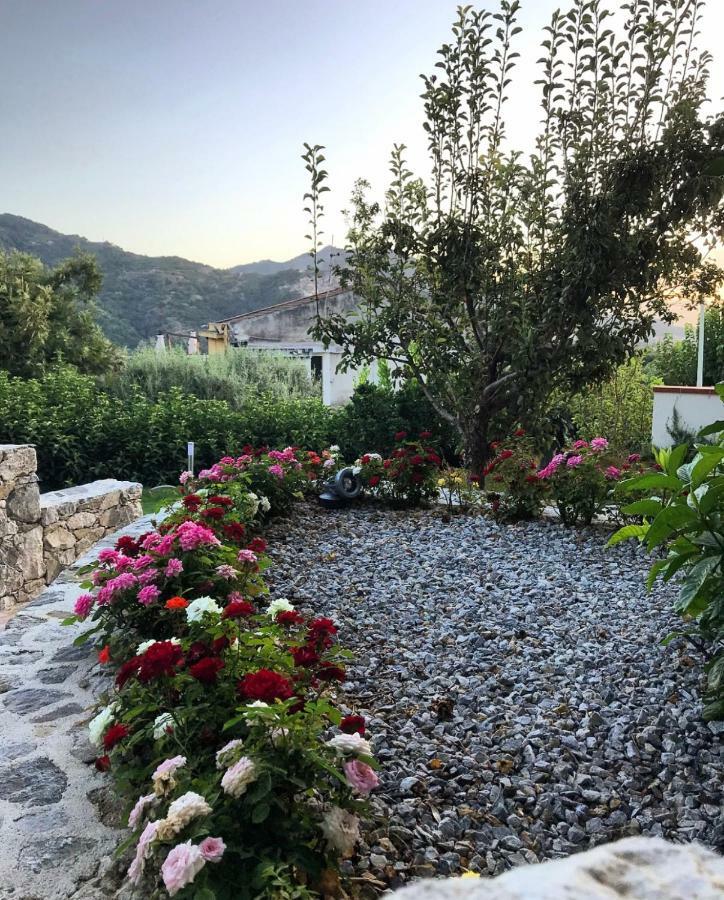 La Pergola Appartamenti Santa Lucia del Mela Εξωτερικό φωτογραφία